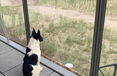 Ferienwohnung Treibholz - Foto 40