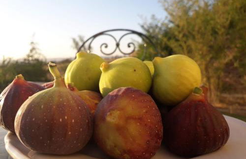 Masseria Agriturismo Moschella - Foto 14