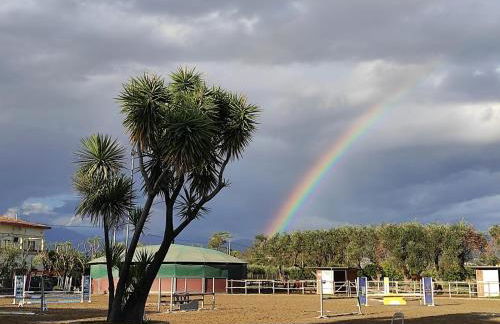 Elena House - Photo 17