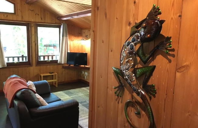 Snowdrop 14 Hot Tub - Foto 8