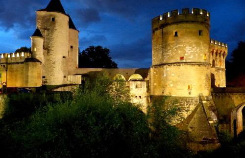 L'appart Moulin des Thermes Metz - Foto 42