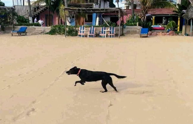 Small Luxury Hotel, Hideaway Near Acapulco on the Beach - Foto 22