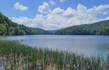 Bambi Forest House - Photo 29