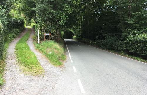 200 year old Gardener's cottage, Mid Wales - Foto 10