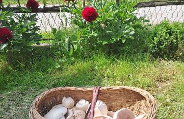 Bambi Forest House - Photo 6