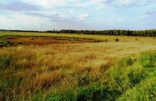 Ferienwohnung Uchte - Photo 44