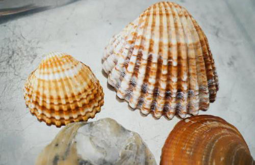 WOW Front Beach View, 150 m to Beach, WIFI - Foto 39