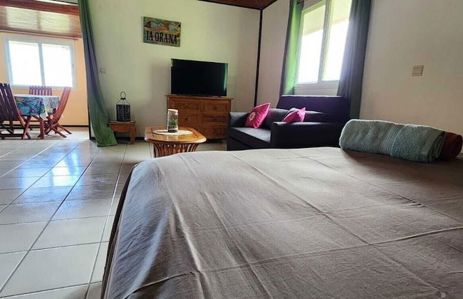 Bungalow TIpanier - Photo 7