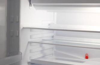 Iguana - Das Tiny Haus am Reptilienzoo Reptilium - Foto 34