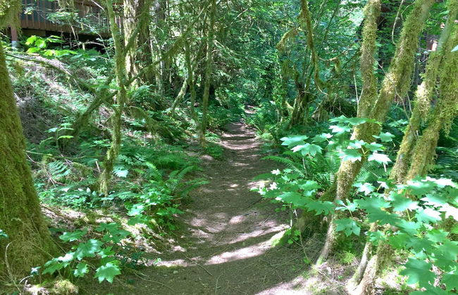 74SL - Pets OK - WIFI - BBQ - Sleeps 8 - Foto 31