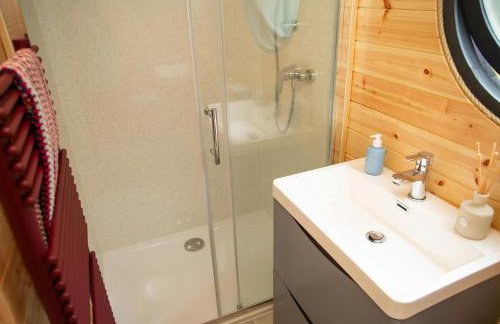 Woodland Lodge Aberporth - Foto 13