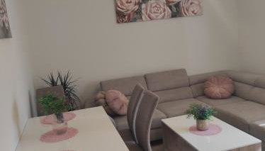 Apartman David - Foto 5