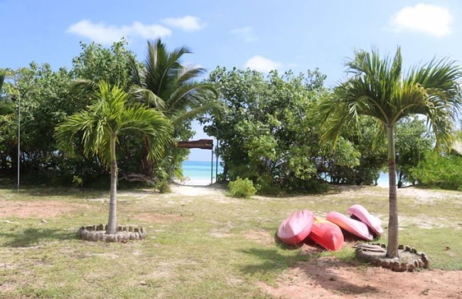 Heliconia Grove - Foto 12