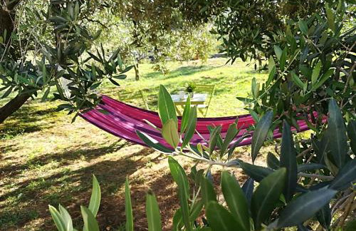 Happy garden house - Photo 27