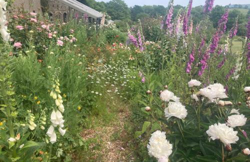 The Walled Garden by Huluki - Foto 37