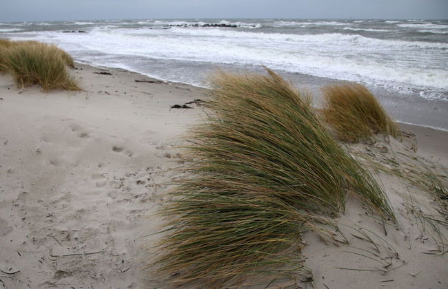 Ostseeliebe Comfortable Holiday Residence - Foto 19