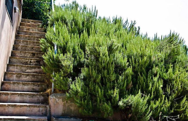 Agriturismo Terrasabina - Foto 67