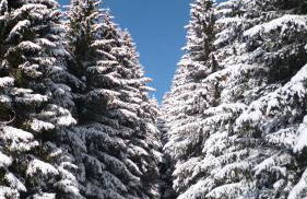 Ferienhaus Lyhs - Foto 69