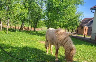 Apartment Dado - Foto 45