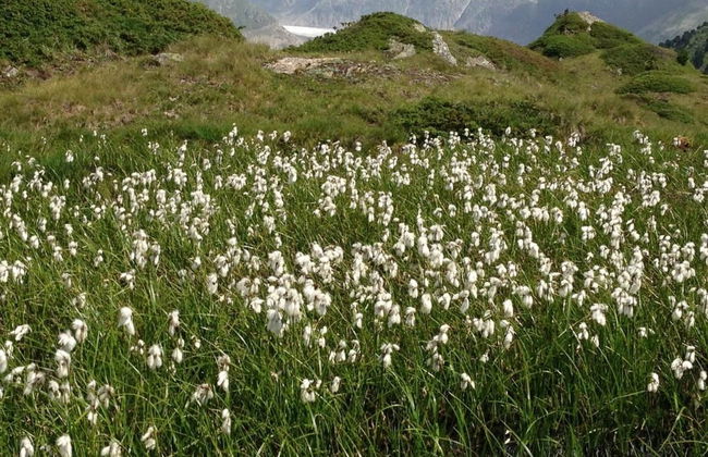 Abendrot EG Süd-West - Foto 13