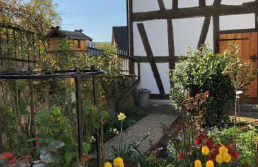 Gut Bunt Ferienhaus - Photo 23