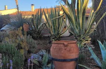 Mèze avec vue face à l'étang - Foto 11