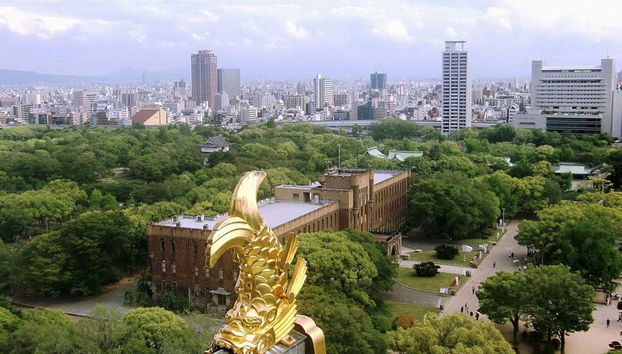 La vista dalla cima del castello