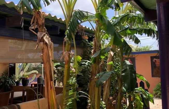 Caribbean Cozy Cove - Foto 62