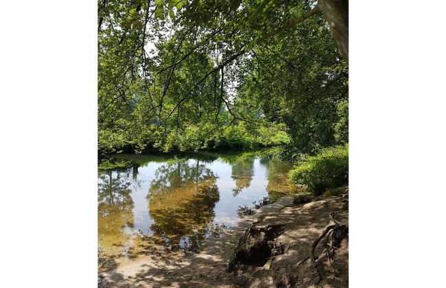 Garden Magic Comfortable Holiday Residence - Photo 2