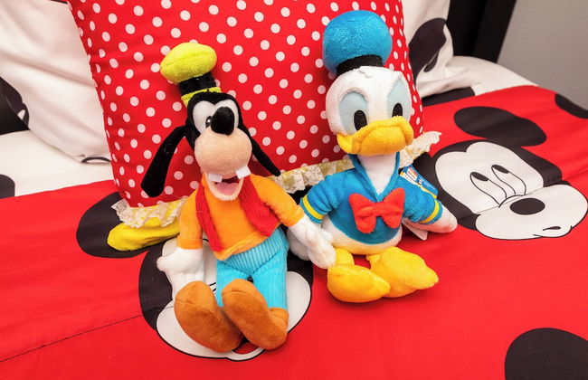 Chasing Adventures - Photo 7