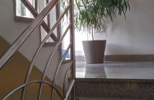 Villa Olive Island - Photo 71