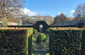 Little Plas - Foto 20