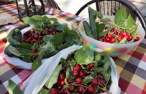 Country Home Genesi 20 min from Trikala - Foto 63