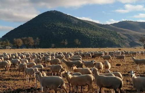 Bellísima cueva acogedora "Casa Olivia" - Foto 47