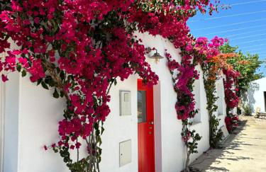 Quinta Castor - Foto 16