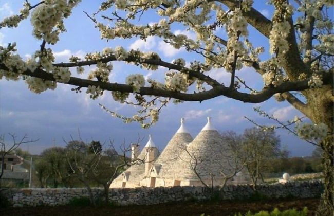 Dimora Mastromarco - Foto 19