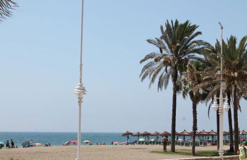 PACIFICO 18 - Photo 67