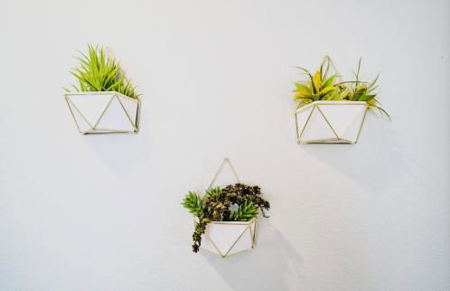 10 Bedroom Historical Downtown Albany Pet Friendly Home - Foto 59