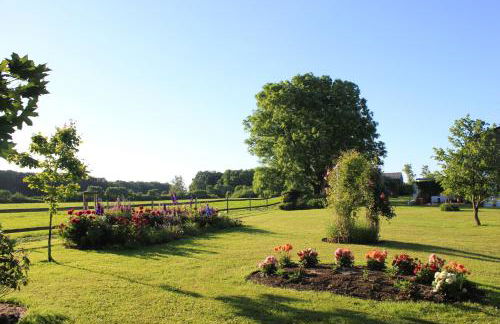 Kiekutsland - Foto 43