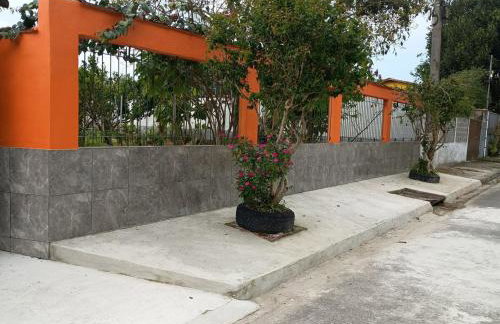 Sossego da Mamãe - Foto 43