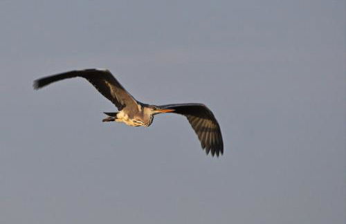 Ferienhaus Tura - Foto 48