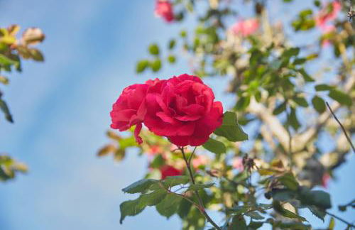 Casa Choureiro Apartamentos Rurales - Foto 36