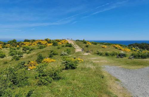 Appartements Post Hiddensee, Vitte - Foto 34