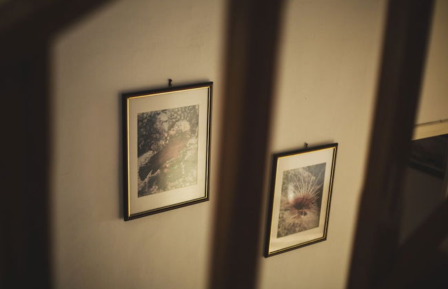 Villa Moby Dick Preveza - Foto 21