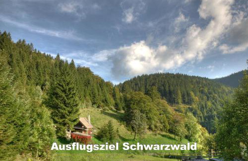 Ferienhaus Schwarzwald bei Straßburg Europapark für 12 Personen auf 160qm - Foto 28
