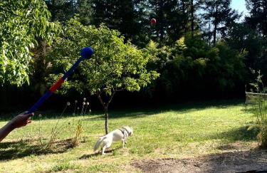 Redwood Castle 2 bed retreat - Foto 6