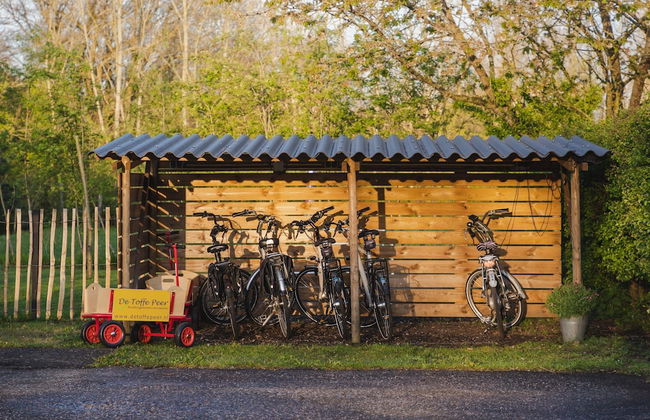 Holiday Home in Ruinerwold With Garden - Photo 17