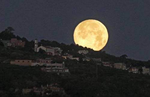 Finca Casa Madera 1 - Foto 59