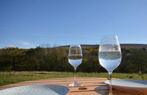 1 Bed in Llandyfan 65190 - Foto 9