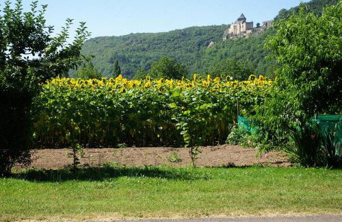 Great house- swimmingpool and jacuzzi -10km from Sarlat La Caneda - Foto 21